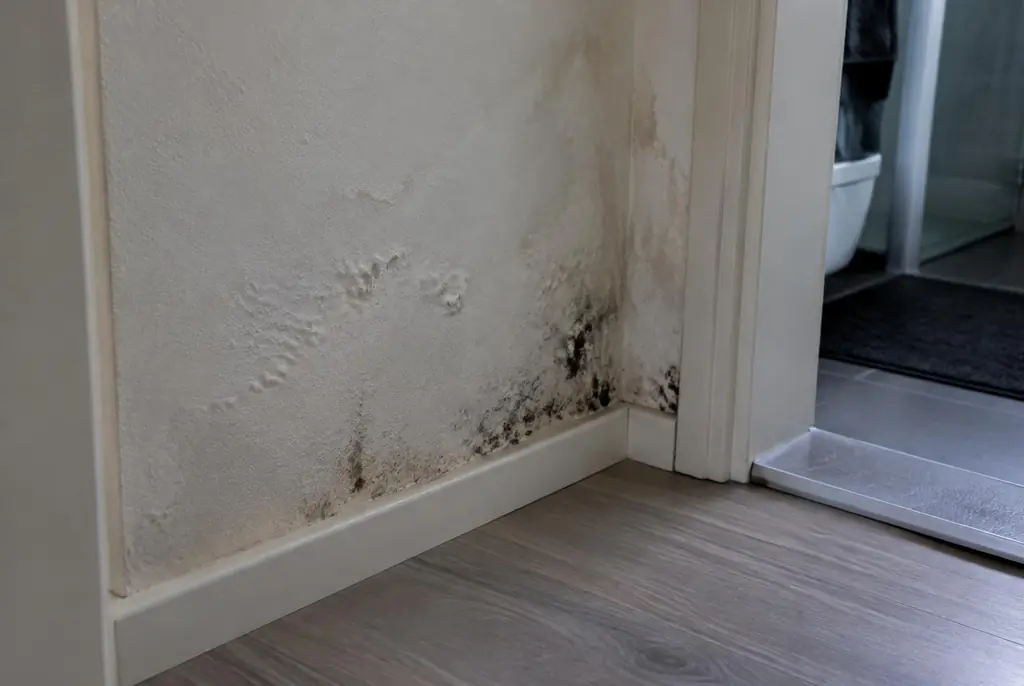 Lekdetectie Brummen – vochtplek met schimmel op een muur